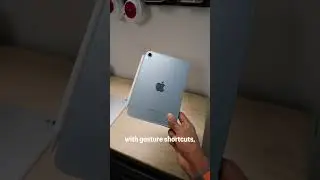 The 