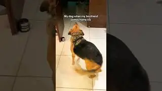 That Dog Stole My Boyfriend 🤣🐶💔 