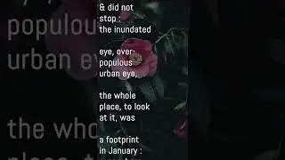 Genius Loci 1