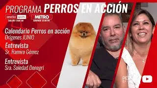 “Perros en acción”  Programa Nº 502