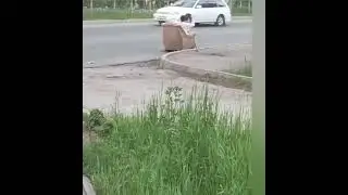 Диванно - Кресельные Катуны (ДКК) э