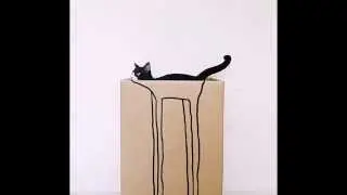 Чудеса котячей маскировки