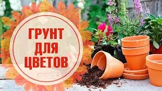 Грунт для цветов 🌺 Как правильно выбрать? 🌺 Как вырастить комнатные растения - обзор Хитсад.
