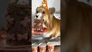 С ДНЕМ РОЖДЕНИЯ РЕЙДЕН 🦴🎉 