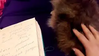 ЗАЩИТА ДЛЯ ЖИВОТНЫХ 👍👍ВЕДЬМИНА ИЗБА