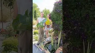 Коллекционный сад экзотики #дача #дачныеидеи #огород #сад #garden #diyideas