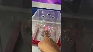 Science Museum ne dimag chakra diya
