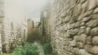 9 января 2019 г.