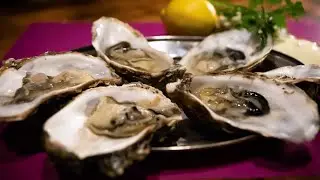 Oysters. How to eat them, what to eat them with, when, how to open them...