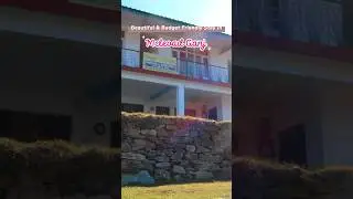 Budget & Beautiful Stay At McLeod Ganj🚩 #homestay #budgettravel #mcleodganj #travel