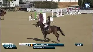 Jacob , stallion 2014 by Star power x Verdi