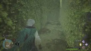 Hogwarts Legacy Cragcroftshire Southern Maze Solution