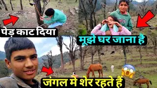 Cute Sanvi जगंल मे शेर रहते हैं मूझे घर जाना है😢|| My Hometown vlog (part-2)⛰️@KidsDianaShow