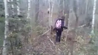 томик веде в болото