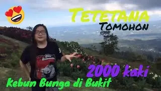 ( Travel vlog ) Spot Fotografi Di Tomohon : wisata Kebun Bunga di Bukit Tetetana Rurukan