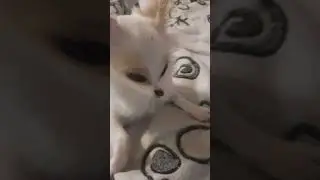 АХХАХАХАПХП0