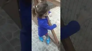 Поход в контактный зоопарк 