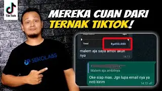 Memanfaatkan Peluang Ternak dan Jual Akun TikTok - Bersama X Ternak Tiktok by Sekolabs
