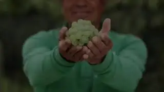 Bienvenidos a Freixenet México