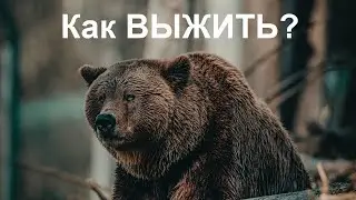 Средства ЗАЩИТЫ от МЕДВЕДЯ | Как защититься от медведя в лесу, спастись от волка, кабана, собаки