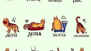 Ты красивый или нет?