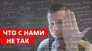 ЧТО С НАМИ НЕ ТАК? БОЛЬШОЙ ВЫПУСК Поиск счастья l Эмоции l Раздражение l Стресс l Усталость. ПОЧЕМУ?