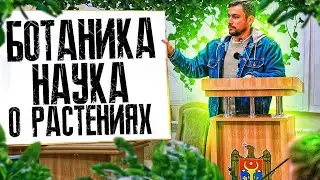 Ботаника - наука о растениях🍃
