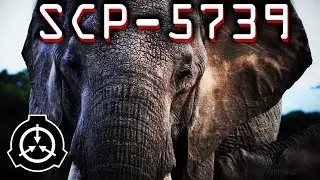SCP-5739 | ELEPHANT HIDE
