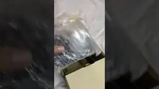 The all new D5600 Nikon 