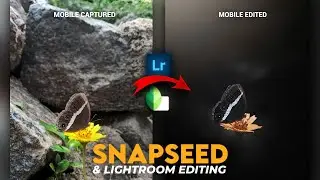 How to Edit Dark fade effect in Snapseed | Snapseed Butterfly Editing | Lens Distortion Effect app