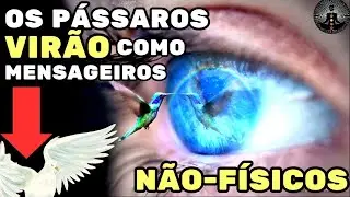😇Os pássaros virão como mensageiros De Um Ente Querido🚨👉Abraham Hicks #vidaaposamorte #leidaatração