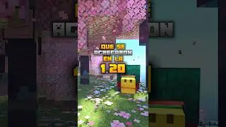 Cosas de la 1.20 