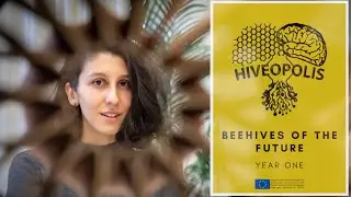 HIVEOPOLIS - project introduction and overview