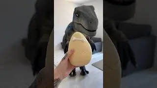 Mystery Dino Egg 🦖