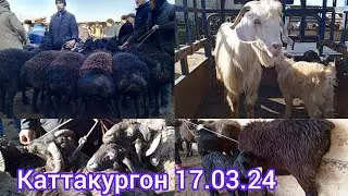 САМАРКАНД В КАТТАКУРГОН ШАХАР КУЧКОР КУЙ КУЗИ ЭЧКИ НАРХЛАРИ 17.03.24 ХАММАГА ОМАД 📠 901998090