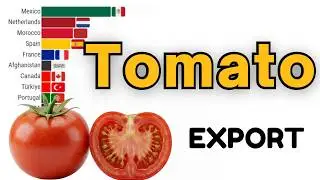 Top 15 Greenhouse Tomato Exporting Countries 1961–2026 | The Global Market Leader?