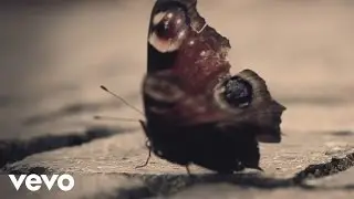 Francesco Berta - 12