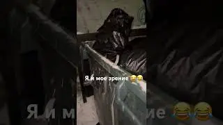 Думаю еще,почему он в мусорном баке сидит?😂😂😂 #юмор #изжизни #пакет