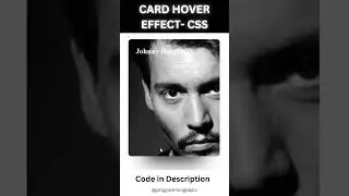 Card Hover Animation Effect CSS | CSS Hover Animation 