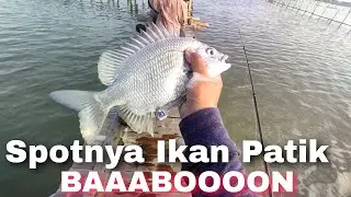 Rumpon ini memang istimewa || Berotan Penghuni Bambunya Bikin ketagihan 