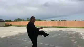 Golden lion Kempo -