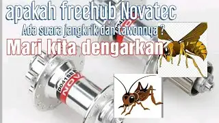 Freehub Novatec D042SB