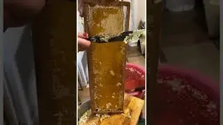Откачка мёда! 
