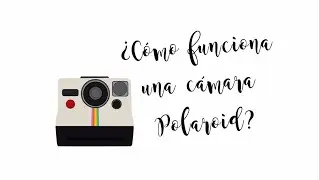 ¿Cómo funciona una cámara Polaroid?
