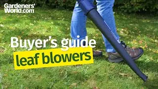 Budget leaf blowers - Buyer's Guide