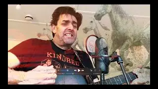 Wild Horses by the Rolling Stones cover