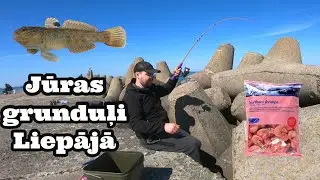 Vai un cik labi ķeras jūras grunduļi Liepājā? Jūras grunduļu cope uz Ziemeļu mola 12.05.2023.