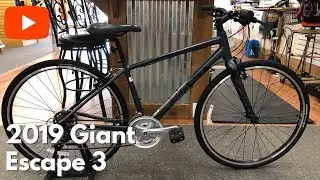 2019 Giant Escape 3