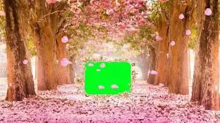 beautiful wedding animation background video green screen effects WD wedding effect Datta Tel 18