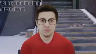VALORANT ANIMATION SHORT #10 - Tier God Feat Shroud & TenZ